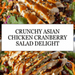 Asian Chicken Cranberry Salad Recipe