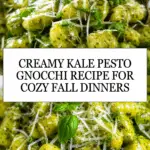 Creamy Kale Pesto Gnocchi Recipe