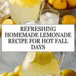 Homemade Lemonade Recipe