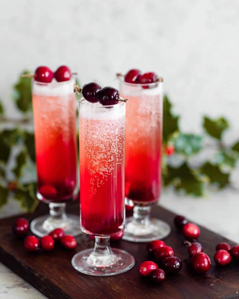 Cranberry Fizz Cocktail Recipe