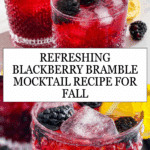 Sparkling Blackberry Bramble Mocktail Recipe