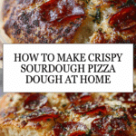 sourdough pizza dough Recipe